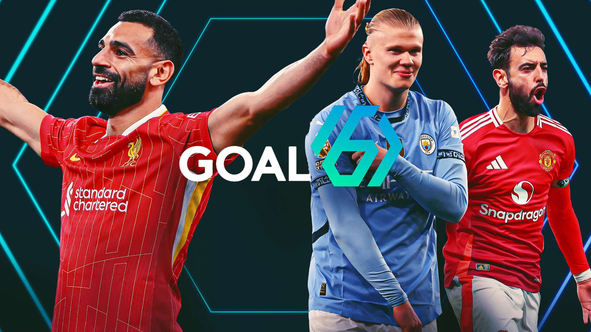 它们不仅指 它们不仅指