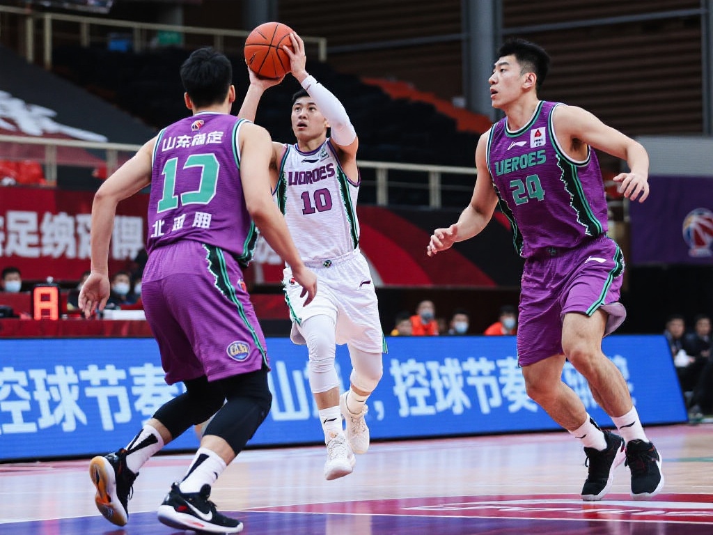 雪域天成的 雪域天成的